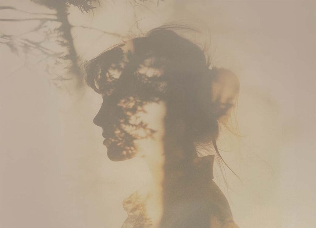 Home 3 new vision for mercon